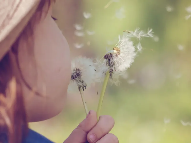 Woman blowing a dandelion clock