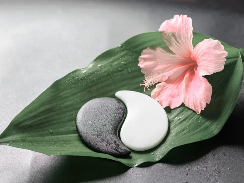 Yin Yang symbol on a leaf